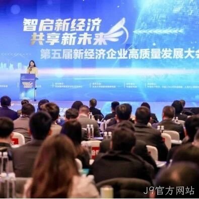 J9官方网站</a>荣登“2024中国新经济企业TOP500”